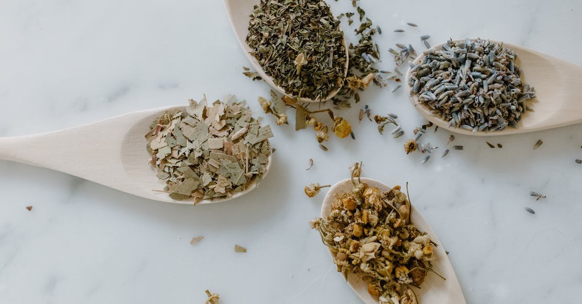 Ziołowa tarcza dla wątroby: 7 roślin, które naturalnie wspierają jej codzienną pracę