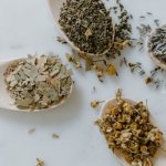 Ziołowa tarcza dla wątroby: 7 roślin, które naturalnie wspierają jej codzienną pracę